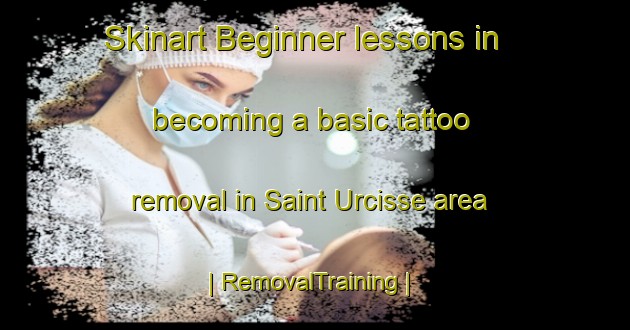 Skinart Beginner lessons in becoming a basic tattoo removal in Saint Urcisse area | RemovalTraining | RemovalClasses | SkinartTraining-France